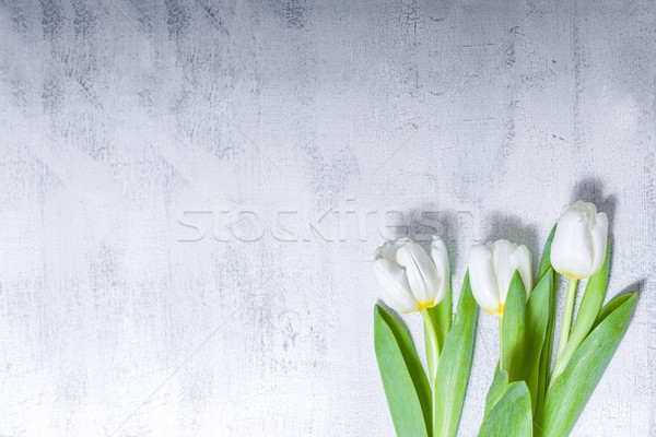 Witte tulpen houten tafel bos bruiloft natuur Stockfoto © user_11224430