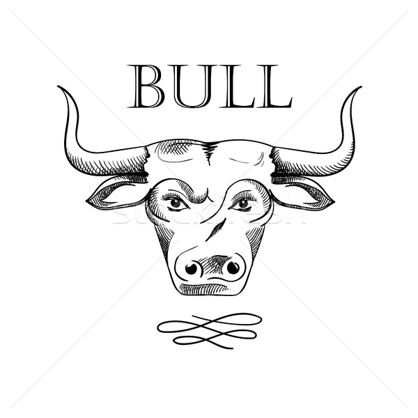 рисованной бык голову эскиз изолированный белый Сток-фото © user_11397493