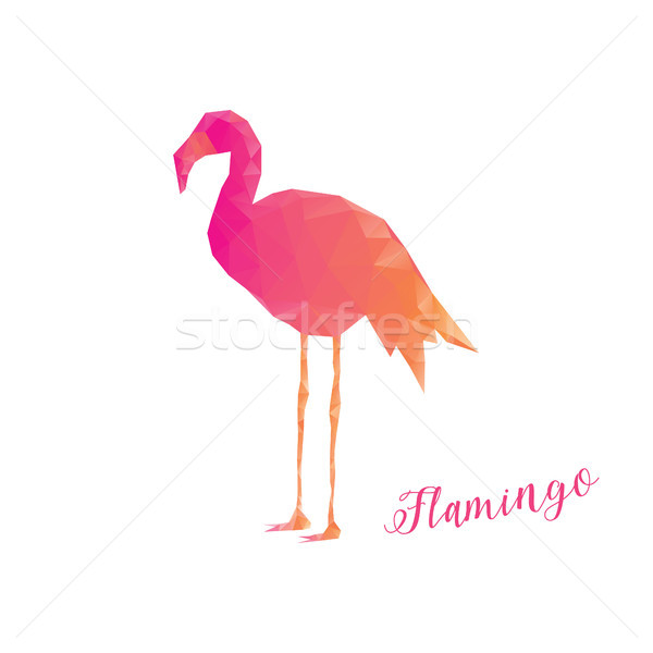 красочный фламинго низкий стиль розовый изолированный Сток-фото © user_11397493