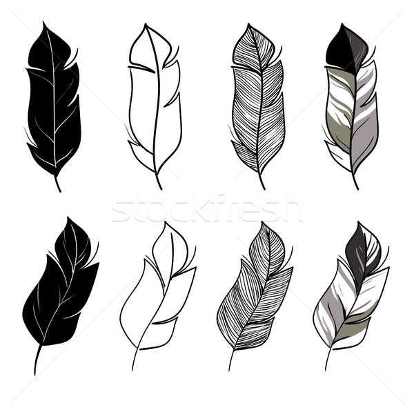 Hand drawn feathers set Stock photo © user_11397493