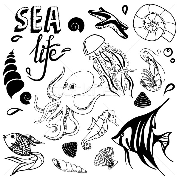Sea life hand drawn sketch with seahorse, fish, seashell, seastar, jellyfish, octopus Stock photo © user_11397493