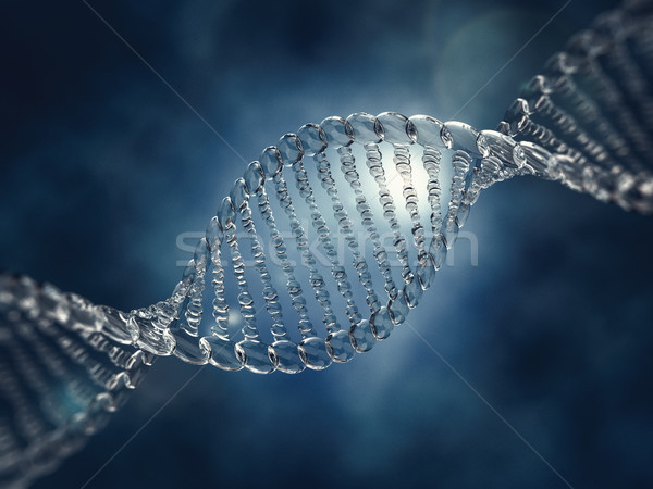 Zdjęcia stock: Szkła · DNA · model · 3D · projektu