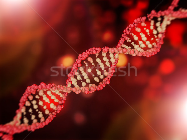 DNA model 3D bilim Stok fotoğraf © user_11870380