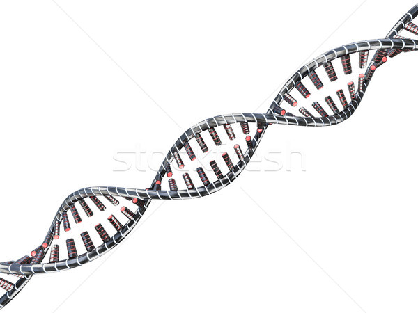 Soyut bilim DNA 3D bilgisayar Stok fotoğraf © user_11870380