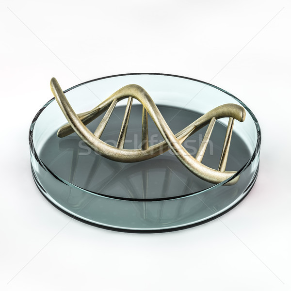 Standard of fragment of human DNA. 3D Stock photo © user_11870380