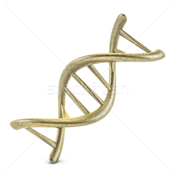 Standard of fragment of human DNA. 3D Stock photo © user_11870380