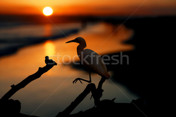 Eau plage août coucher du soleil mer fond [[stock_photo]] © user_9323633