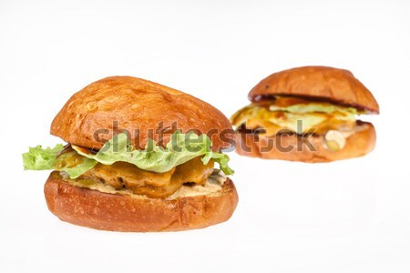Two Hamburgers On Isolated Background Stock photo © user_9834712