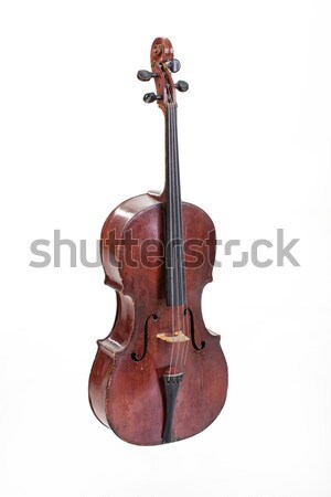 Vecchio violoncello isolato studio retro bianco Foto d'archivio © user_9834712