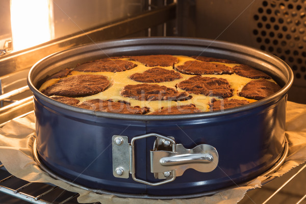 Baking dish with Russian plucking cakes in the stove Stock photo © user_9870494