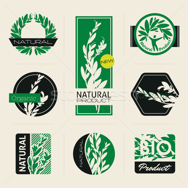 Stok fotoğraf: Etiketler · afişler · rozetler · yeşil · yaprakları · vektör · dizayn
