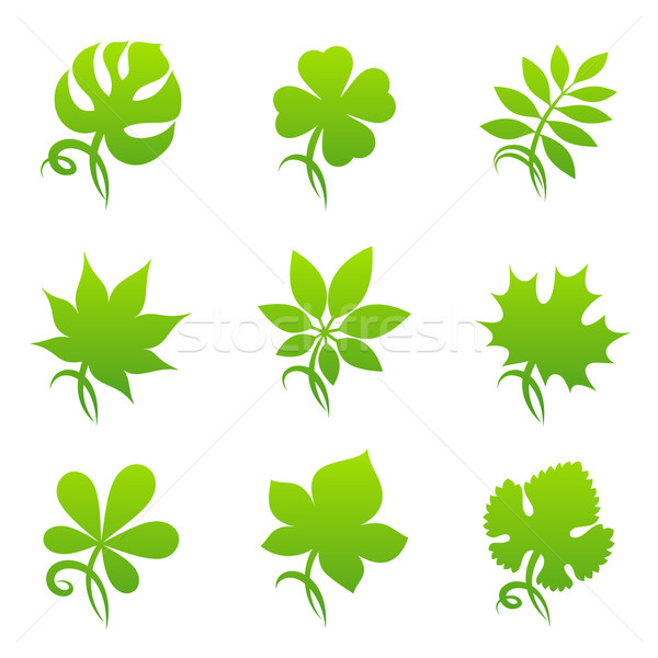 Stock foto: Blätter · Vektor · logo · Vorlage · Set · Elemente