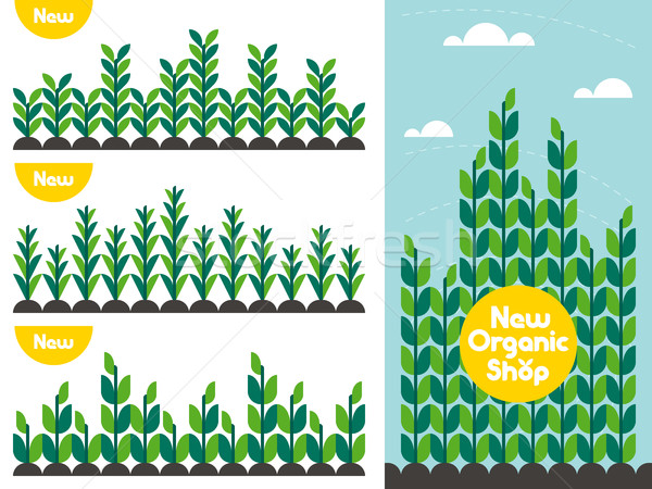 Agricultural crop pattern and organic food shop logo. Flat style Stock photo © ussr