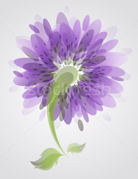 Resumen lila flor elegante diseno naturaleza Foto stock © ussr