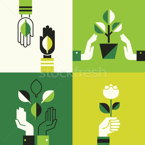 Caring hands holding leaves Stock photo © ussr