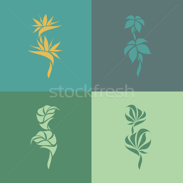 Stock foto: Tropischen · Pflanzen · Set · Design · Elemente · Business