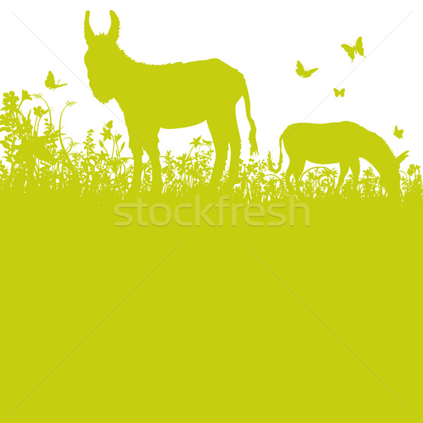 Stock photo: Donkey on pasture