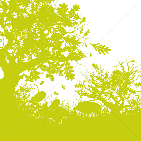 Oak forest with wild boar and falling leaves Stock photo © Ustofre9
