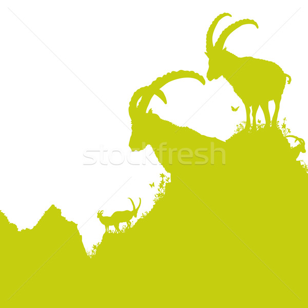 Ibex in the mountains Stock photo © Ustofre9