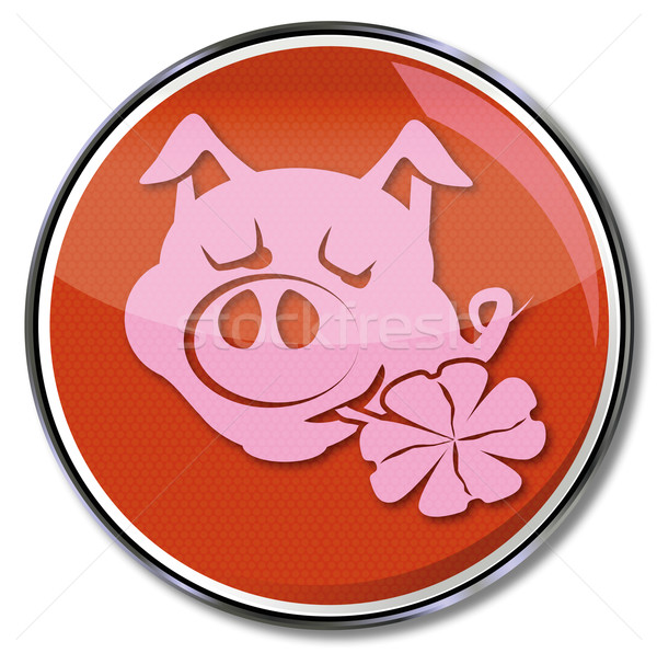 Button lucky pig with clover in its mouth Stock photo © Ustofre9