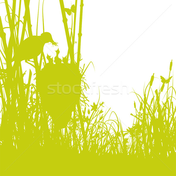 Birds nest in the reeds Stock photo © Ustofre9