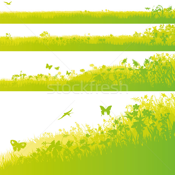 Four grass fields in the garden Stock photo © Ustofre9