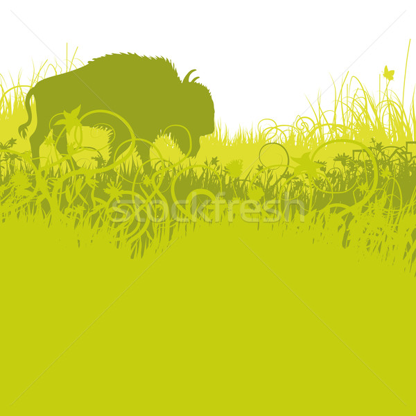 Buffalo in the american plains Stock photo © Ustofre9