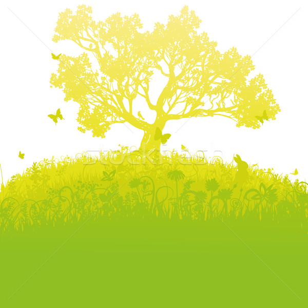 Scattered tree on a grass hill Stock photo © Ustofre9