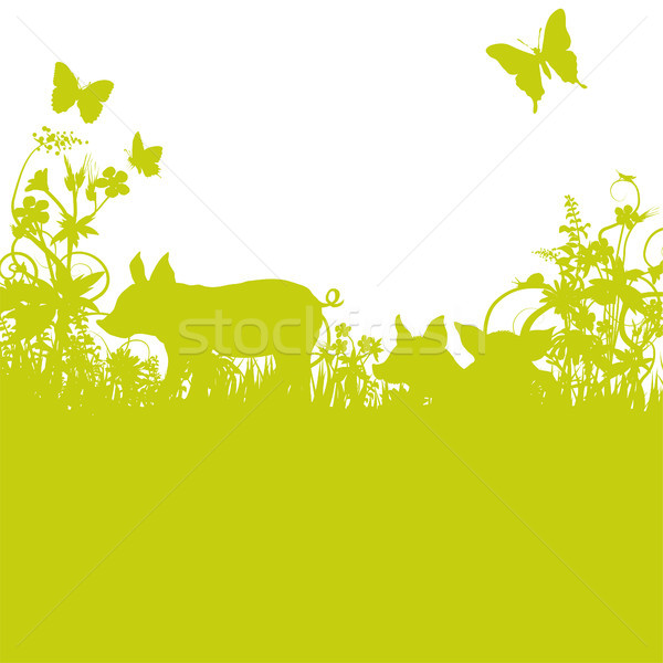 Piglets on the meadow Stock photo © Ustofre9
