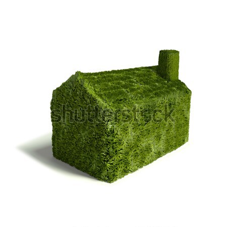 Small green grass building industry  Stock photo © Ustofre9