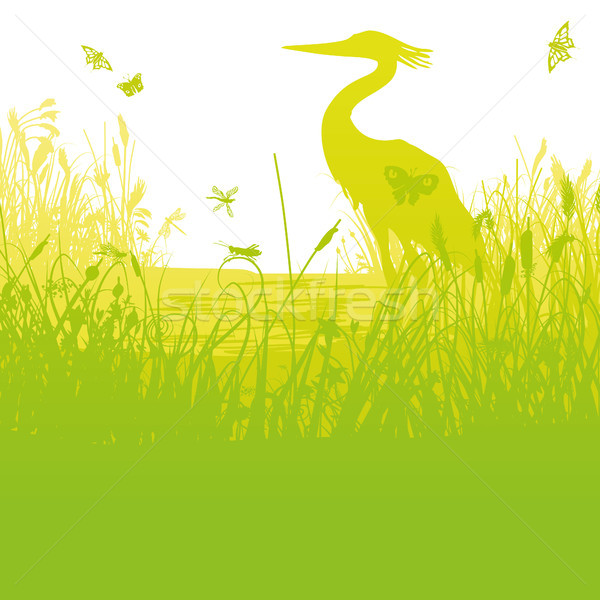 Stock photo: Heron in the reeds on the shore of a lake