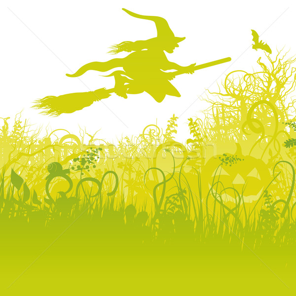 Stock photo: Flying witch on the broom in the garden 