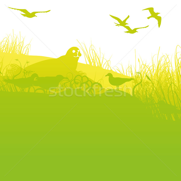 Seal on the shore with seagulls Stock photo © Ustofre9