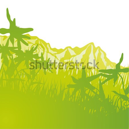 Flowers on a mountain meadow Stock photo © Ustofre9