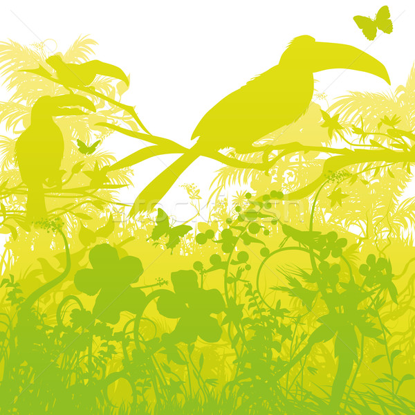 Stock photo: Toucans in a green wild forest