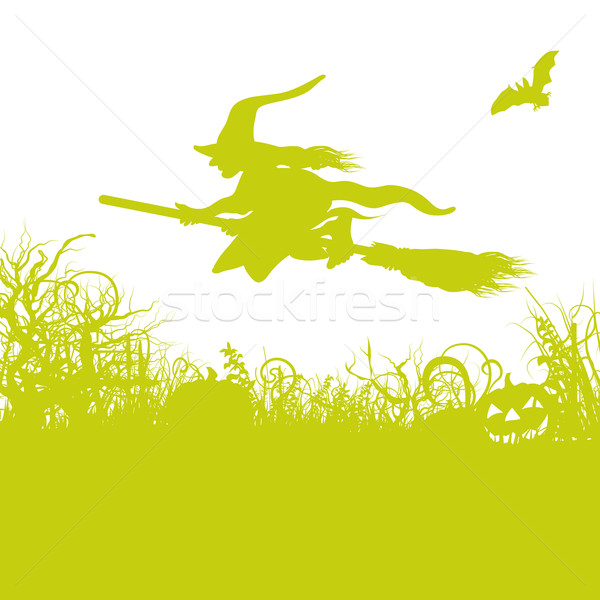 Witch on the broom Stock photo © Ustofre9