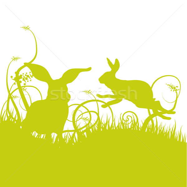 Hare and rabbit on the lawn Stock photo © Ustofre9