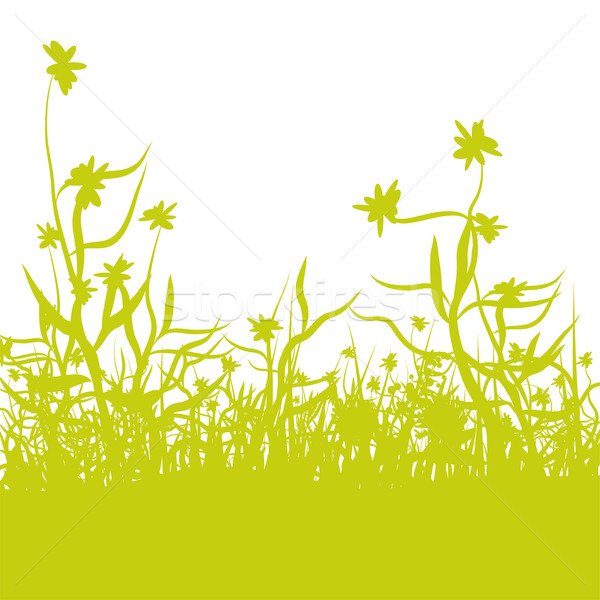 Stock photo: Blades of grass and flowers