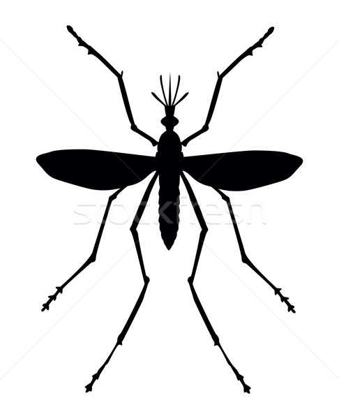 Mosquito silhueta vetor eps natureza Foto stock © vadimmmus