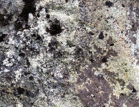 каменные текстуры строительство аннотация природы Сток-фото © vadimmmus