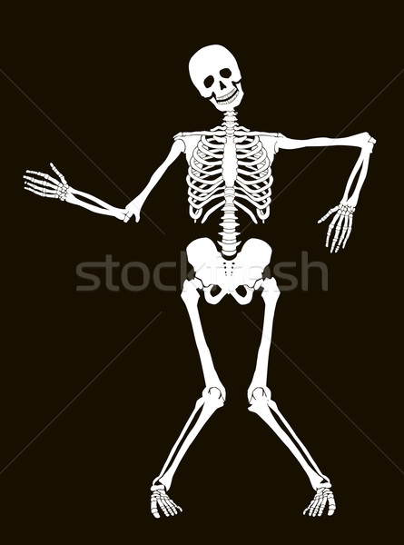 Stock photo: Skeleton