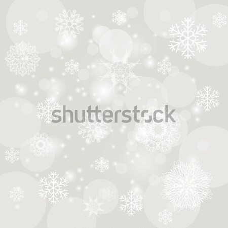 Show patroon grijs hemel winter Stockfoto © Valeo5