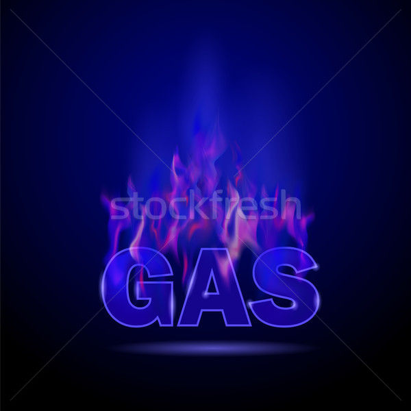 Gas Burning Fire Stock photo © Valeo5