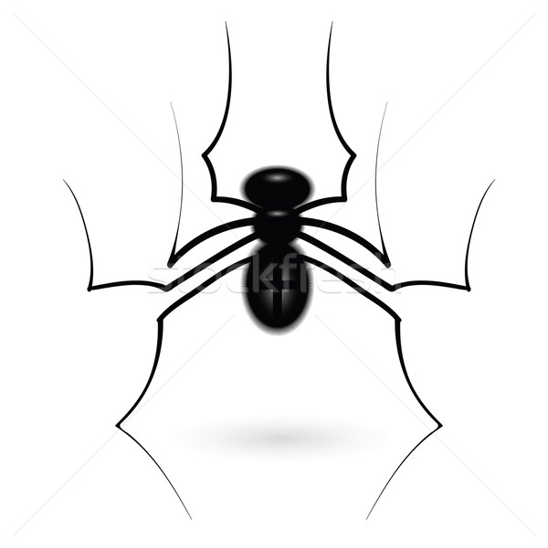 Imagine de stoc: Păianjen · colorat · ilustrare · natură · moarte · înapoi