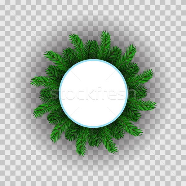 Vert sapin cercle cadre isolé blanche [[stock_photo]] © Valeo5