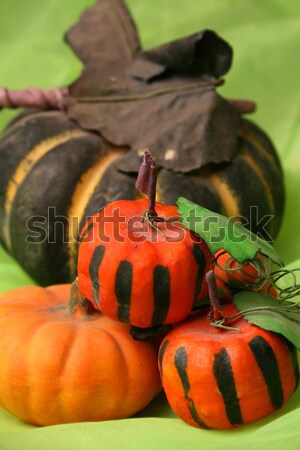 Halloween tökök poros öreg zöld háttér Stock fotó © vanessavr