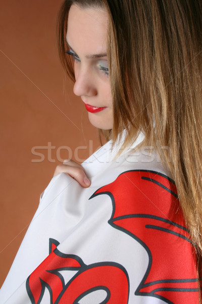 Welsh Girl Stock photo © vanessavr