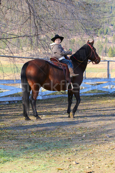 Stock photo: Cowboy and horse