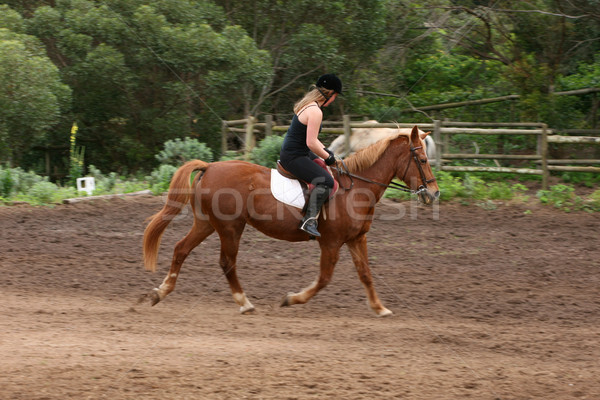 Horse Riding Stock photo © vanessavr