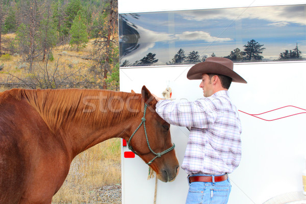 Horse grooming Stock photo © vanessavr